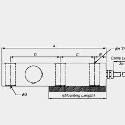 loadcell bs cas chính hãng