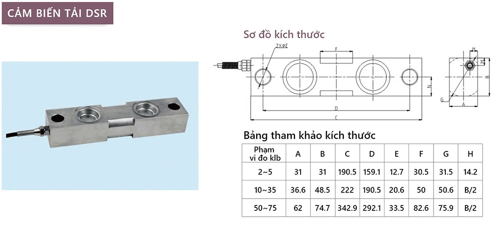 loadcell DSR GSS