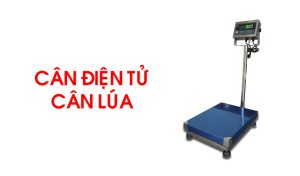 Cân Điện Tử Cân Lúa
