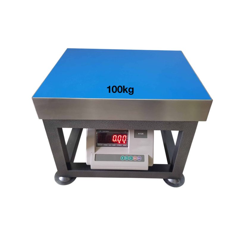Cân ghế điện tử A12 Yaohua 100kg