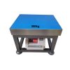 Cân ghế điện tử A12 Yaohua 300kg