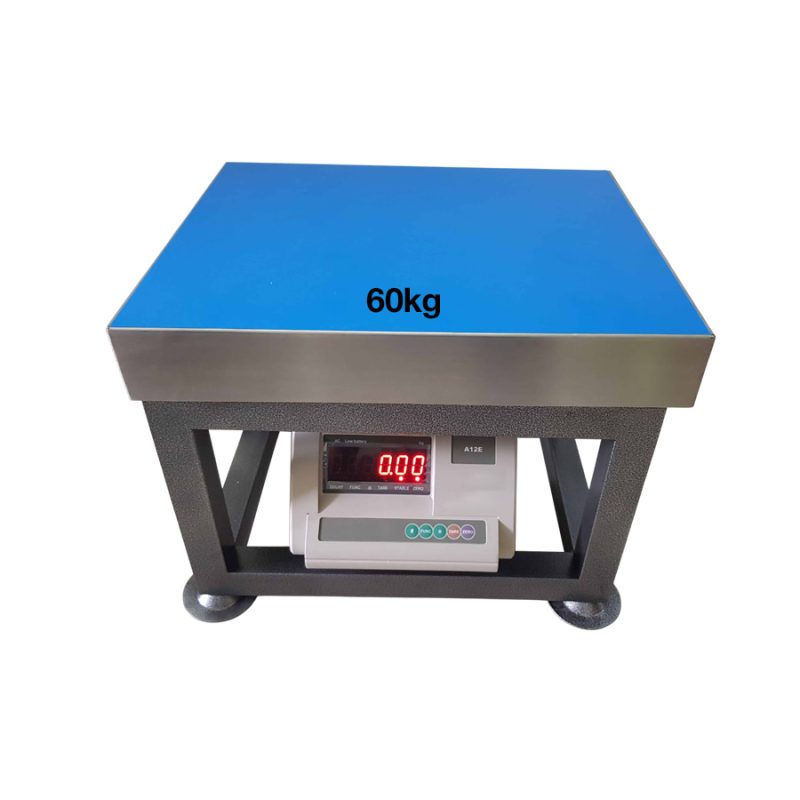 Cân ghế điện tử A12 Yaohua 60kg