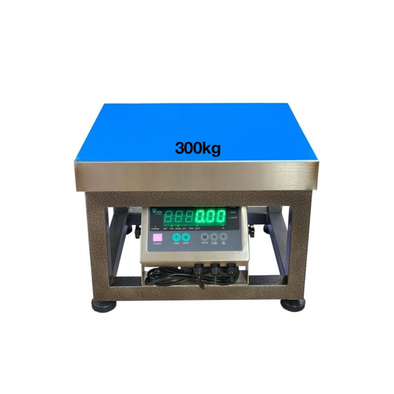 Cân ghế điện tử DI28SS 300kg